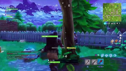Fortnite Battle Royale highlights
