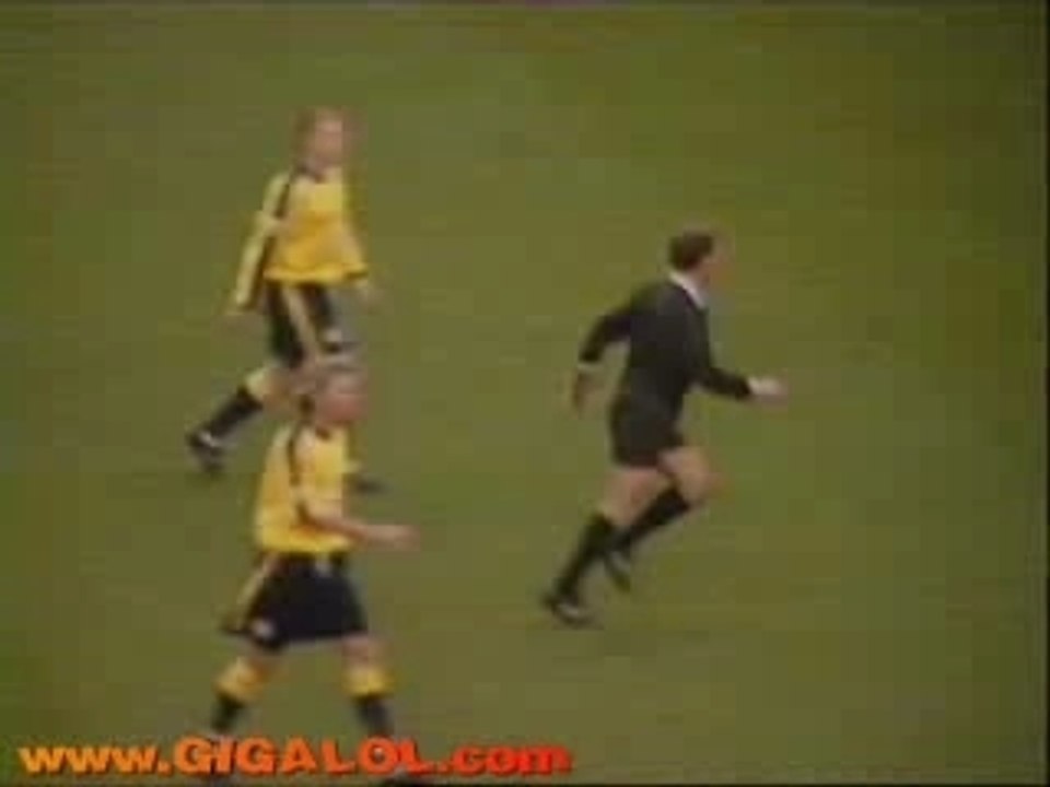 L'arbitre officiel de la foin foin team