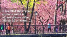 First Day Of Spring 2018_ What To Know About The Equinox & Longer Hours Of Sunlight _ TIME