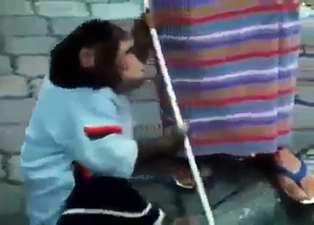 Great Monkey