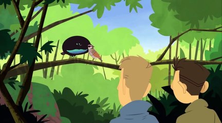 Wild Kratts - Feathered Friends