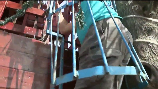 California Man Builds Massive Treehouse in His Backyard