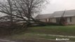 Reed Timmer records tornado forming, destroying power lines and trees in Alabama