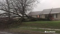 Reed Timmer records tornado forming, destroying power lines and trees in Alabama