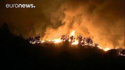 Le Portugal va indemniser les familles de victimes des incendies