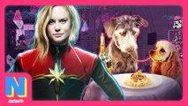 Captain Marvel: Brie Larson BTS Exclusive, Lady and The Tramp Live Action Remake | NW News