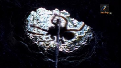 The Adventures of Sinbad Ep-26 P1 (Bangla Dubbing)