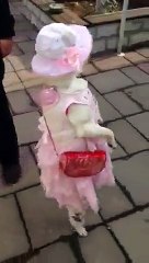 Lady dog fashion show