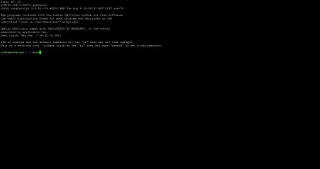 Raspberry Pi volle Größe der SD Karte nutzen