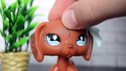 LPS: Things I Hate About Clothes Shopping!