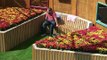 Celebrity Big Brother S12 E12 Series 12  Day 11 Highlights