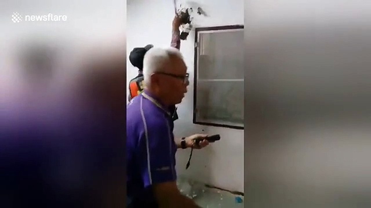 E frikshme! Dëgjonin zhurma në mur, u terrorizuan kur e hapën