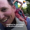 When this guy adopted a turkey named Albert, he had no idea he'd end up raising his babies too — or that becoming a turkey dad would make him happier than he ev