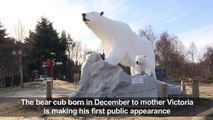 Highland Wildlife Park celebrates polar bear birth