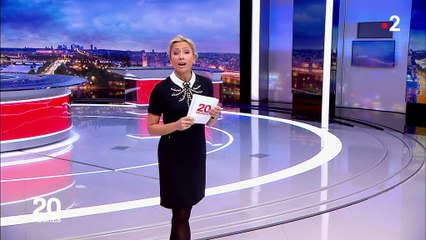 Faune : pourquoi un tiers des oiseaux a disparu ?