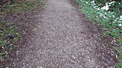 Cerne Abbas -  Hiking