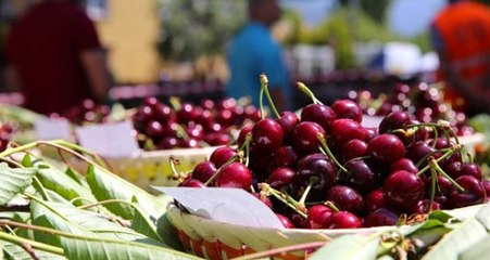 Türkiye Kiraz İhracatında ABD'nin Payına Göz Dikti