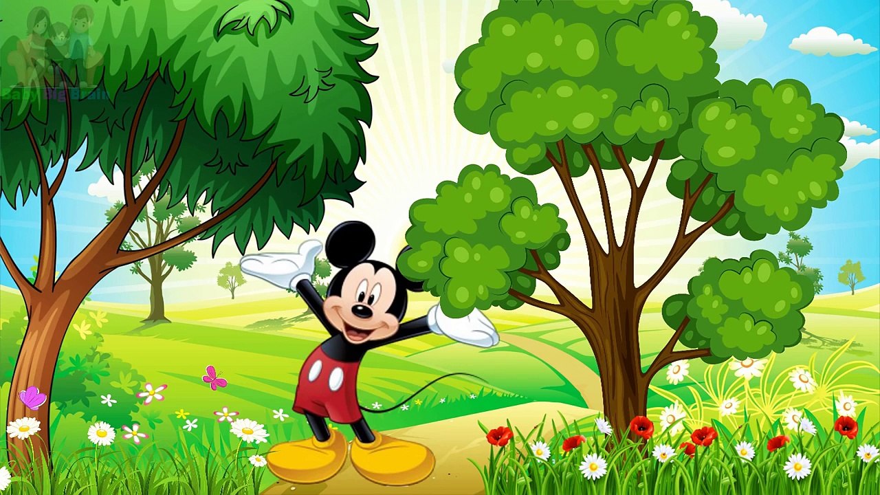 HELLO KITTY PAW PATROL BARNEY MICKEY MOUSE FINGER FAMILY NURSERY RHYME PEPPA PIG COLORS SURPRISES