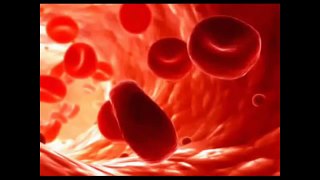 Анемия лечение. Как лечить анемию и повысить уровень гемоглобина