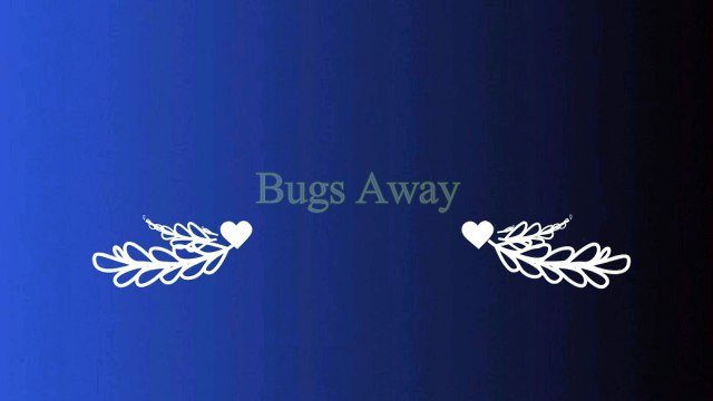 Jual Aromatherapy Diffuser Jakarta | CALL/WA +62 812-8080-2830 (Tsel)