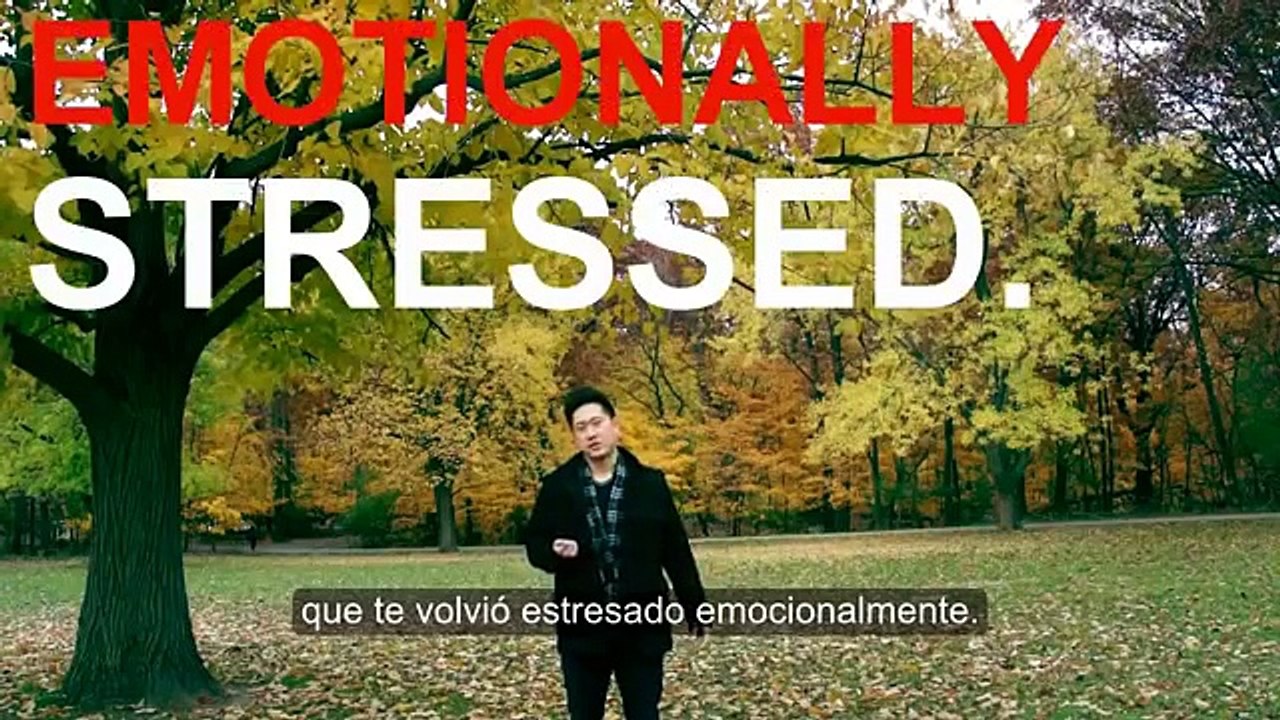 El miedo no es real. Despierta - Fear is not real . Wake up