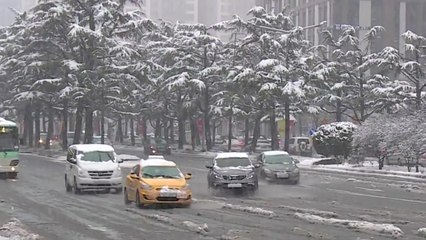[날씨] 춘분에 영남권 폭설...휴업·교통통제 잇달아 / YTN