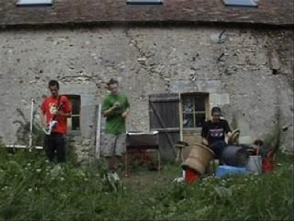 Neo Ripers feat. The boucing souls - The gold song