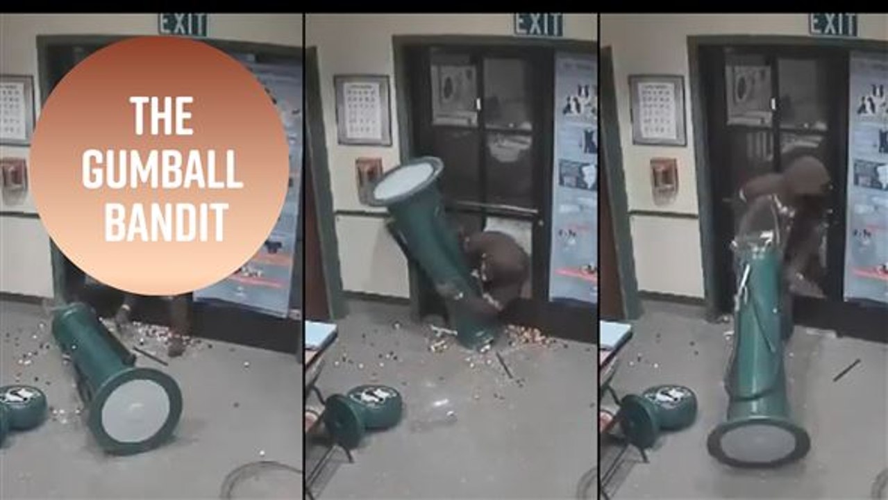 Wanna be a dumb criminal? Watch this video