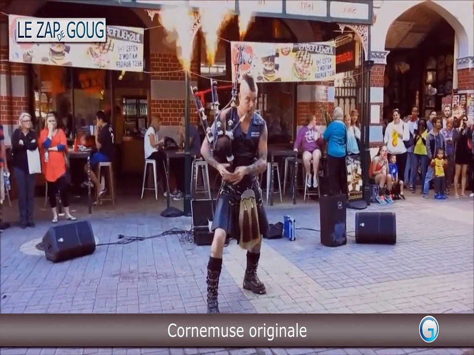 ZAP funny, fails, choc & INSOLITE - LE ZAP DE GOUG N°8