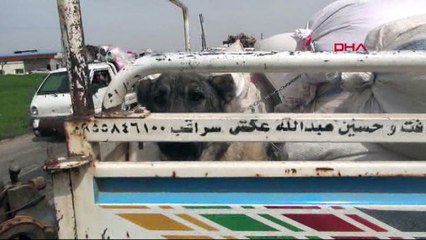 Afrin’e dönüşe el yapımı patlayıcı engeli