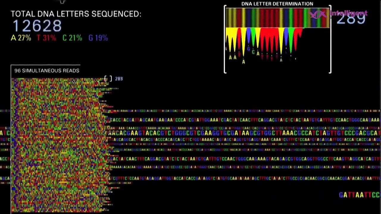 Benefits of Genome Health Assessment at Intelligent Ageing