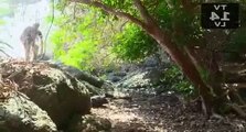 The Island With Bear Grylls S01 E04 #4