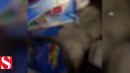 PKK bitiyor!; Kahraman Mehmetçik terör örgütü PKK�nın inine girdi