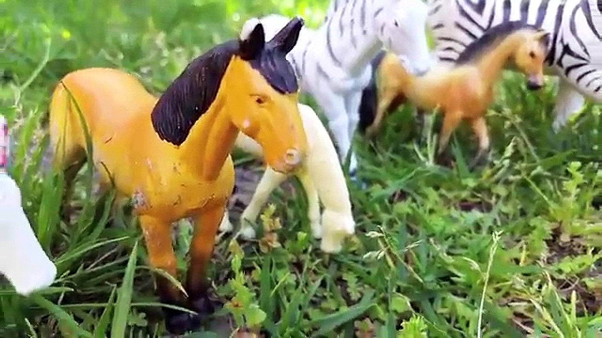 ⁣Cute Toy Horses & Zebras BIG Collection Real Horse Sounds Coleccion de Caballos y Zebras de Jugu