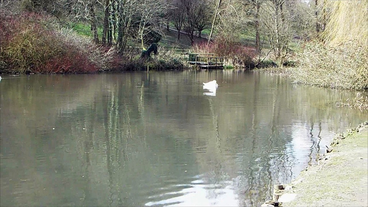 Ninesprings Park - Video 2