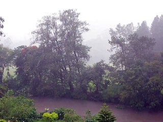 Munnar - Tea Plantations
