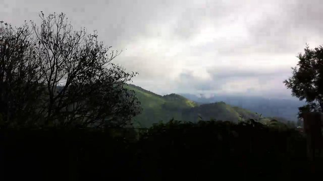 Munnar - Tea Plantations