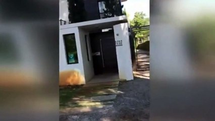 Çiftlik Bank CEOsu Mehmet Aydnın Uruguaydaki Evi