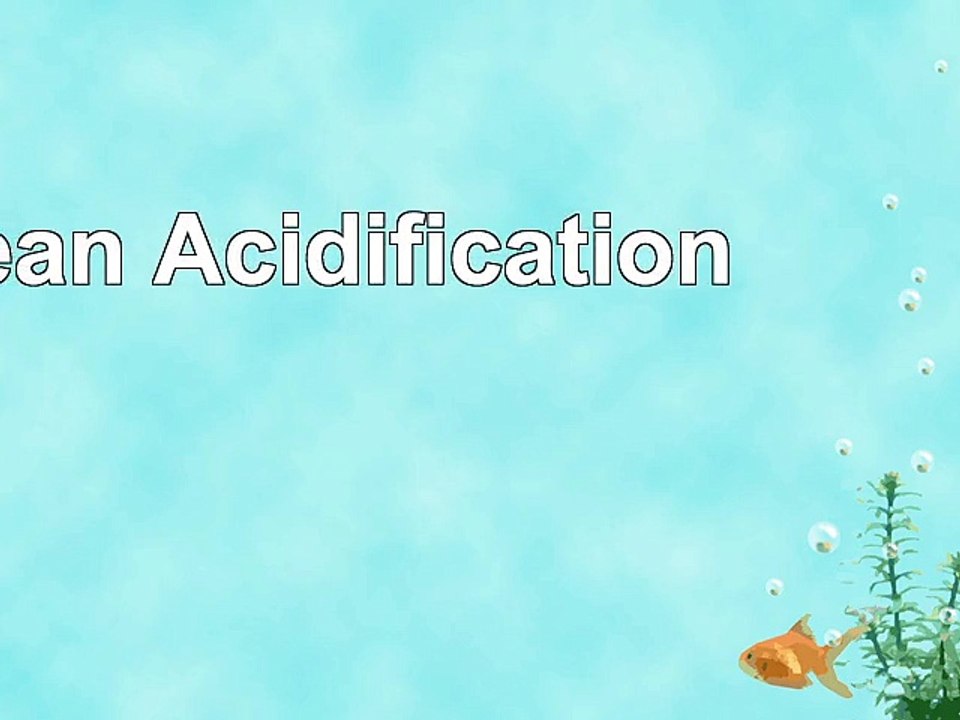 Ocean Acidification 51136283