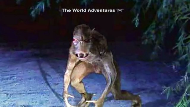 5 रहस्यमय दानव जो कैमरे में कैद हुए 5 Mysterious Creatures Caught On Camera In Real Life Hindi