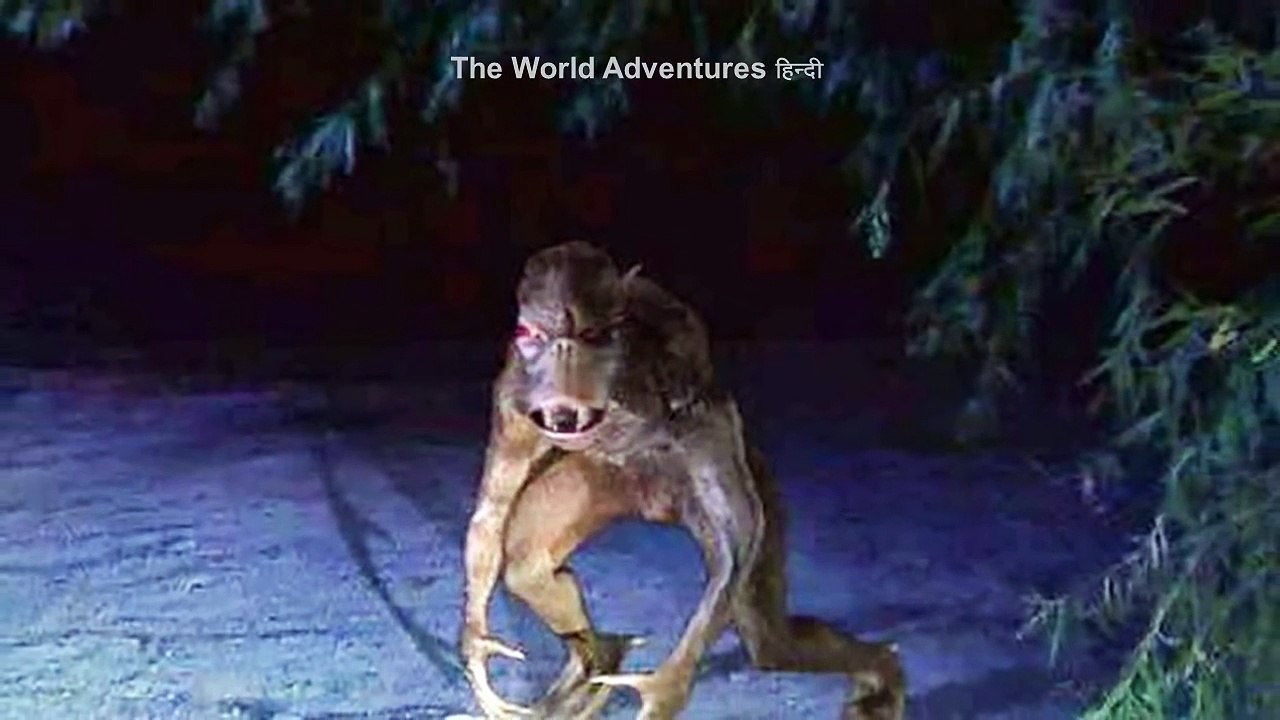 कैमरे में कैद हुए रहस्यमयी जीव ! कमजोर दिल वाले ये ना देखे The mysterious creature caught on camera