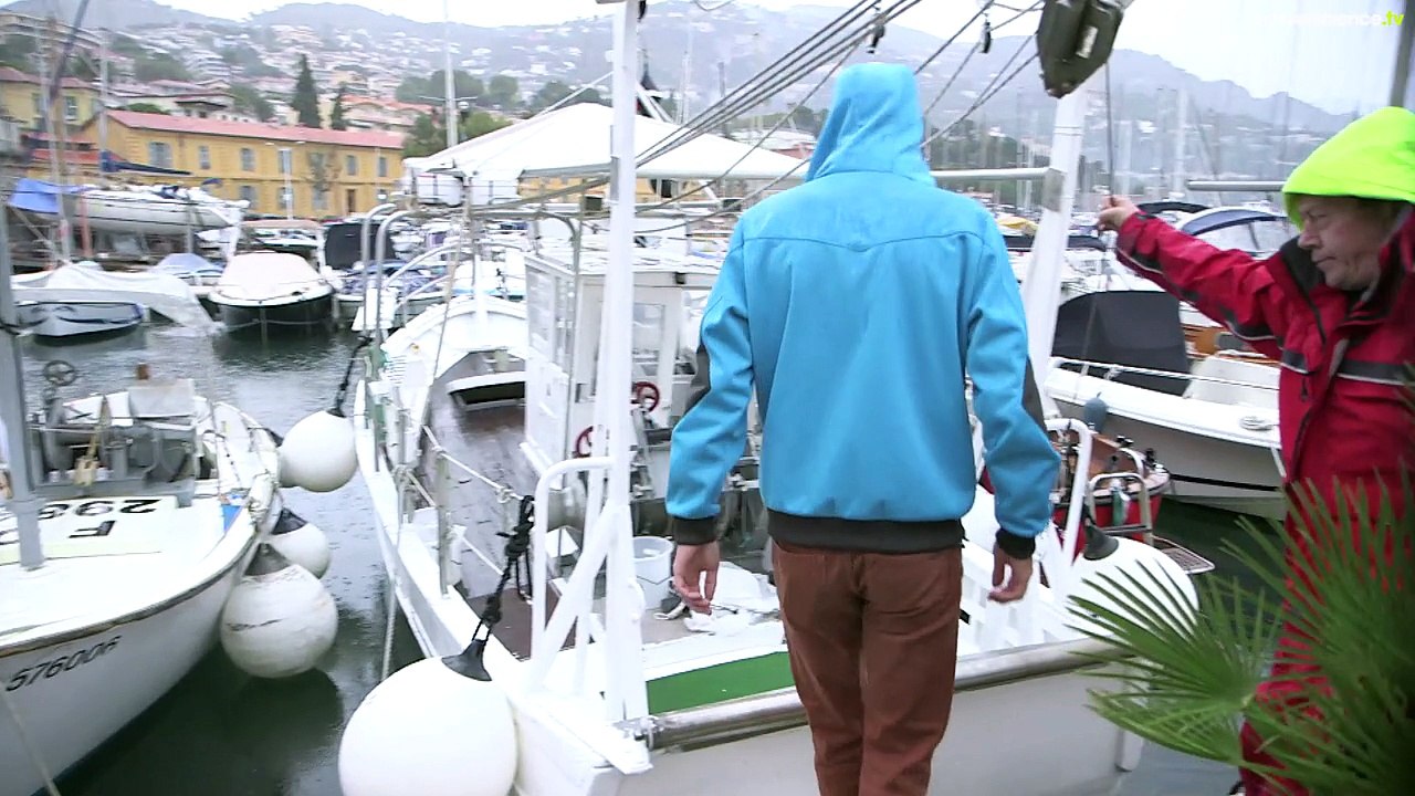 Des algues dans nos moteurs