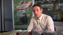 Groupe Barbier : la valorisation en boucle des films plastiques usagés (Haute-Loire)