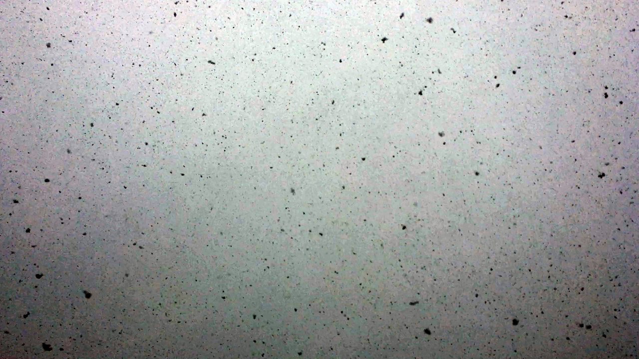 Neige en Provence : de très gros flocons à Roquevaire