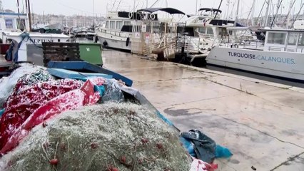 Le début du printemps sous la neige à Marseille