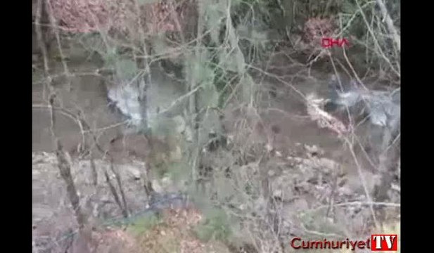 At eti skandalı! Dereden yüzlerce kilo sucuk ve kokoreç çıktı