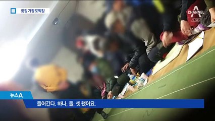 하룻밤 판돈 6억…횟집·펜션 돌며 ‘메뚜기 도박’