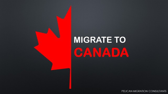 How to Migrate to Canada From UAE - Pelican Migration Consultants