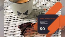 5th & Baldwin Sunglasses |Free Sunglasses: Stylish & Designer Glares