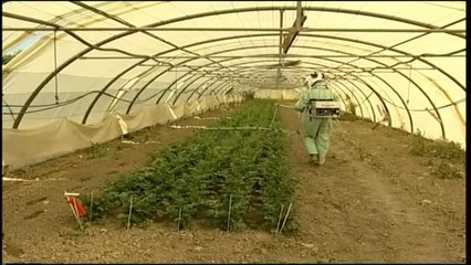 Via libera dell'Ue all'acquisizione di Monsanto da parte di Bayer